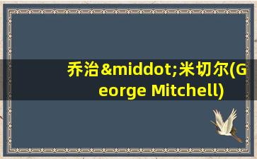 乔治·米切尔(George Mitchell)